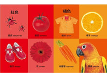 Load image into Gallery viewer, First123、顏色、形狀、相反詞