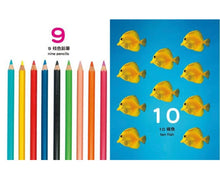 Load image into Gallery viewer, First123、顏色、形狀、相反詞